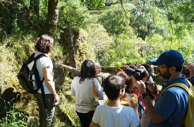 BIOBLITZ – à descoberta da biodiversidade