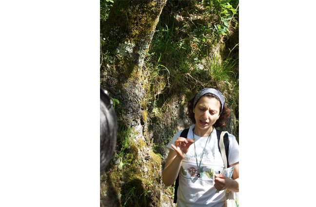 BIOBLITZ – à descoberta da biodiversidade