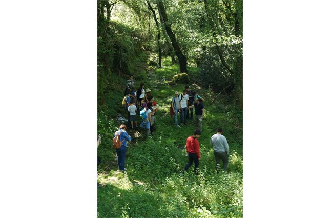 BIOBLITZ – à descoberta da biodiversidade