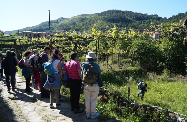 BIOBLITZ – à descoberta da biodiversidade