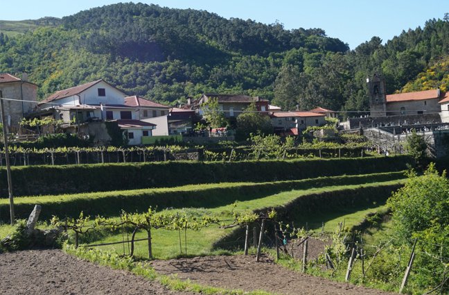 BIOBLITZ – à descoberta da biodiversidade