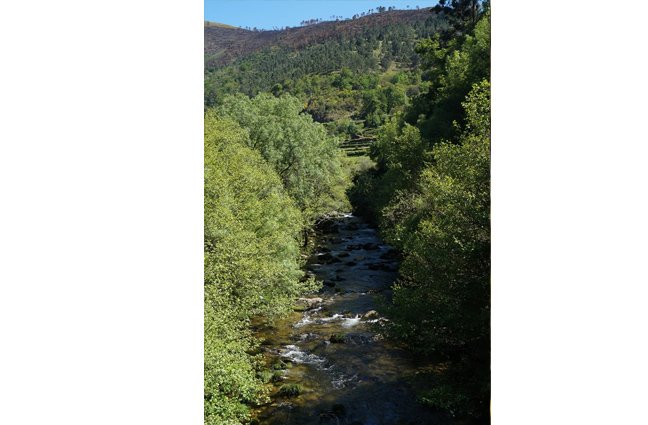 BIOBLITZ – à descoberta da biodiversidade
