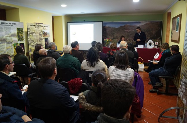 Acontece In Loco - Dias de Campo
