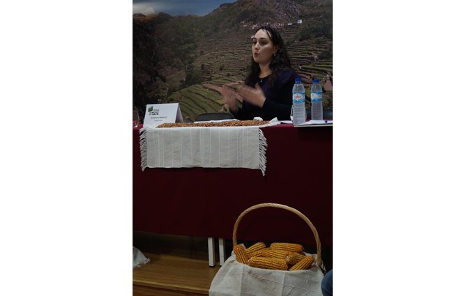 Acontece In Loco - Dias de Campo