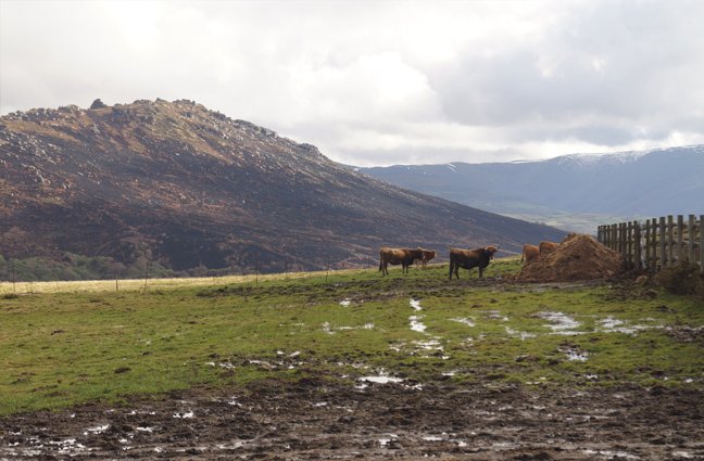 Visita à Galiza